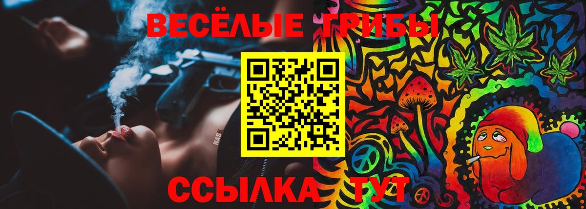 Галлюциногенные грибы Cubensis  Псилоцибиновые грибы мухоморы  Ахтубинск  Вход с VPN 
